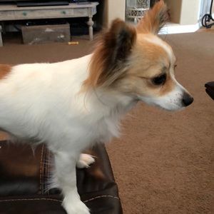 Meet your Posher, Amy